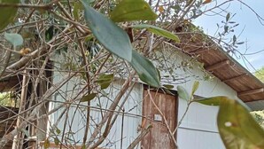 Una estructura de madera rústica con un porche y escalones que llevan a una puerta blanca.