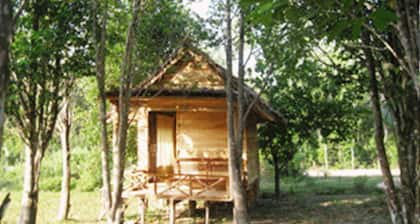 Pepper Farm Phu Quoc Bungalow