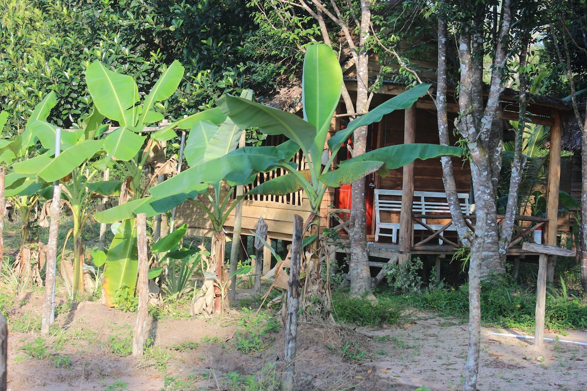 Wooden Bungalow, 1 Double Bed | View from room