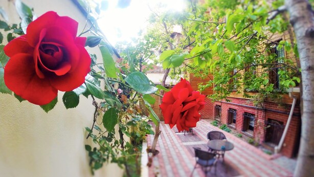 A narrow pathway with a red rose on the left, leading to a brick building with a small table and chairs in the distance. - Ottoman's Pearl Hotel (Istanbul)