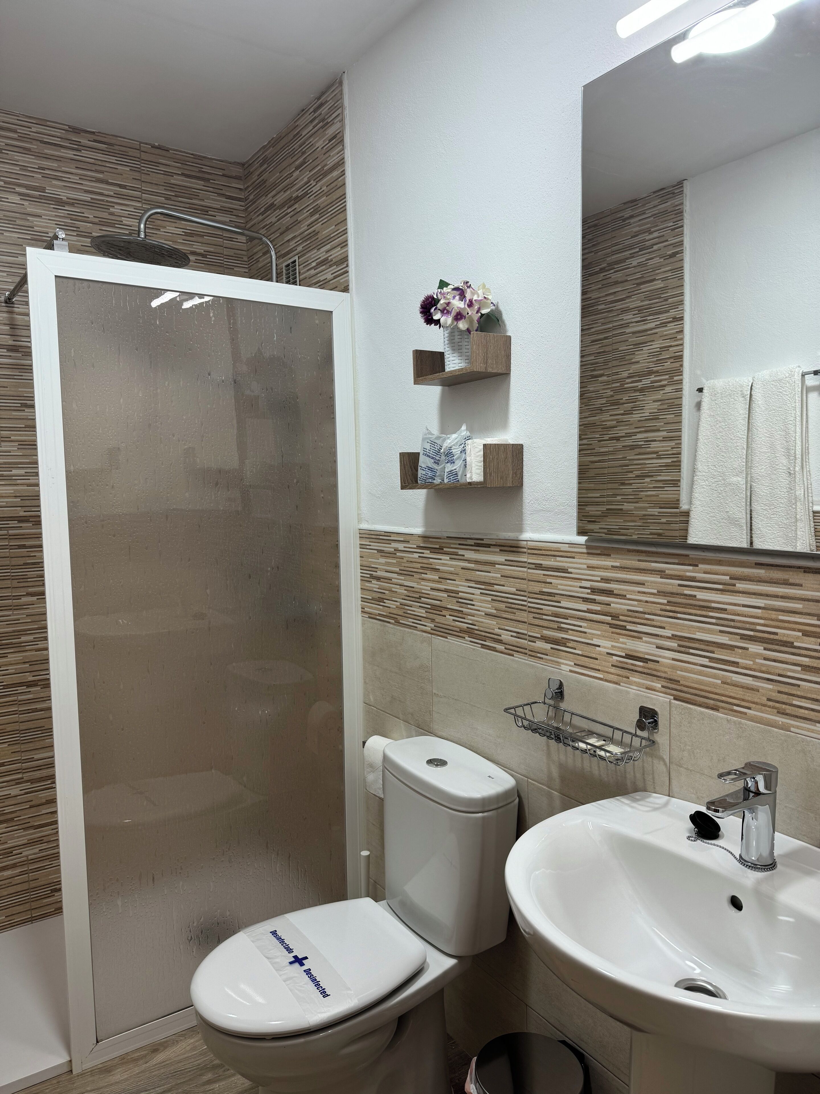 Une salle de bain moderne équipée d’une douche, de toilettes, d’un lavabo et d’un miroir.