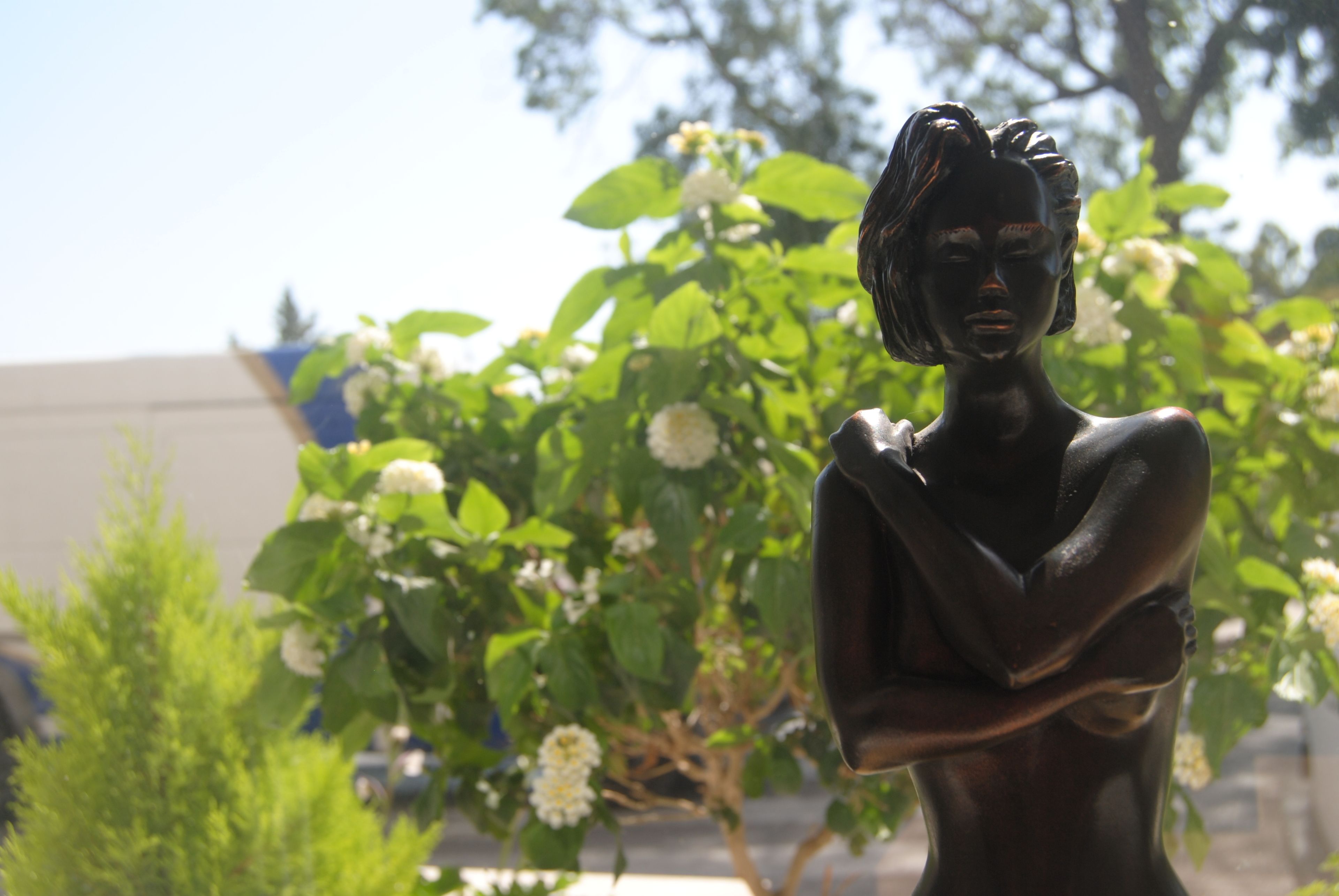 Foto - Hotel Mirasol