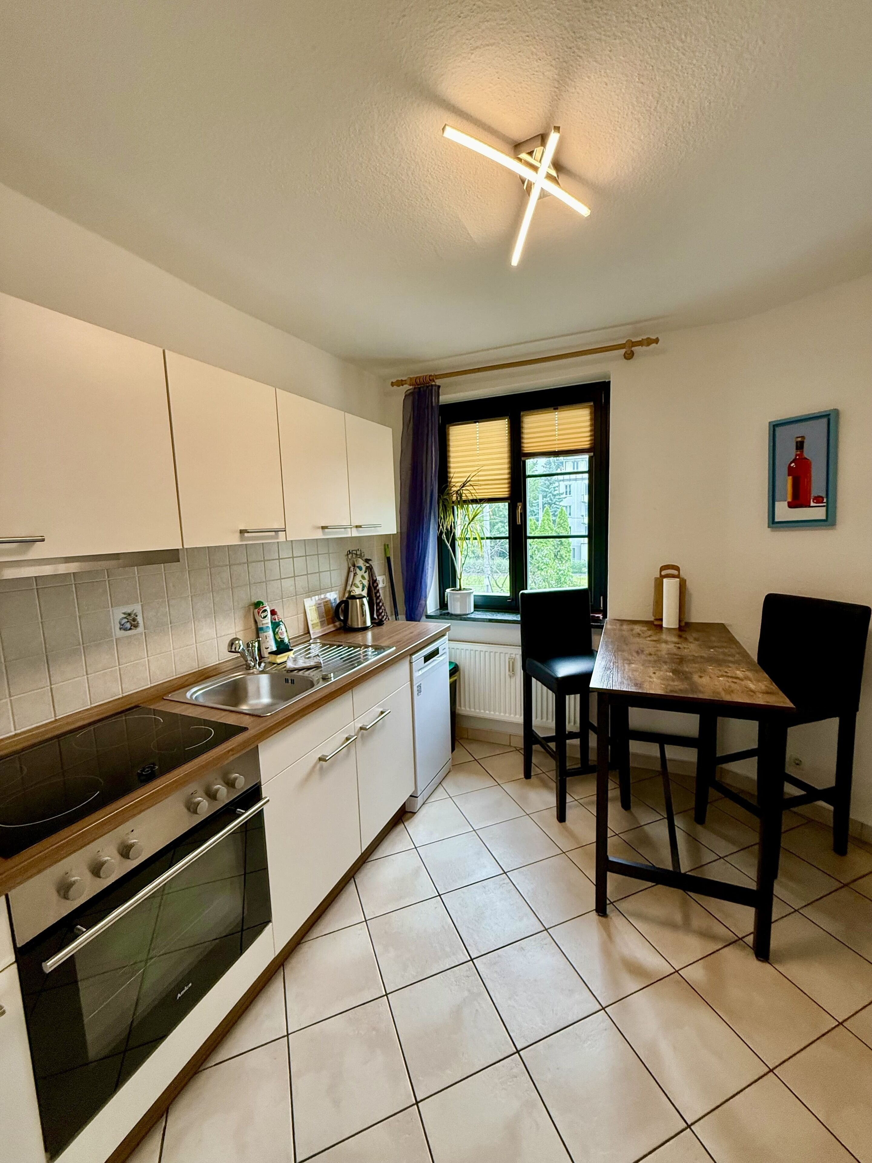 Comfort Condo, 1 Bedroom, Balcony, Garden Area (Wohnung 2) | Private kitchen