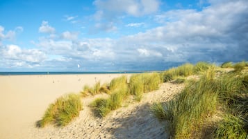 Una playa cerca, arena blanca, 2 bares en la playa, pesca