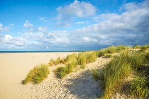 Una playa cerca, arena blanca, 2 bares en la playa, pesca