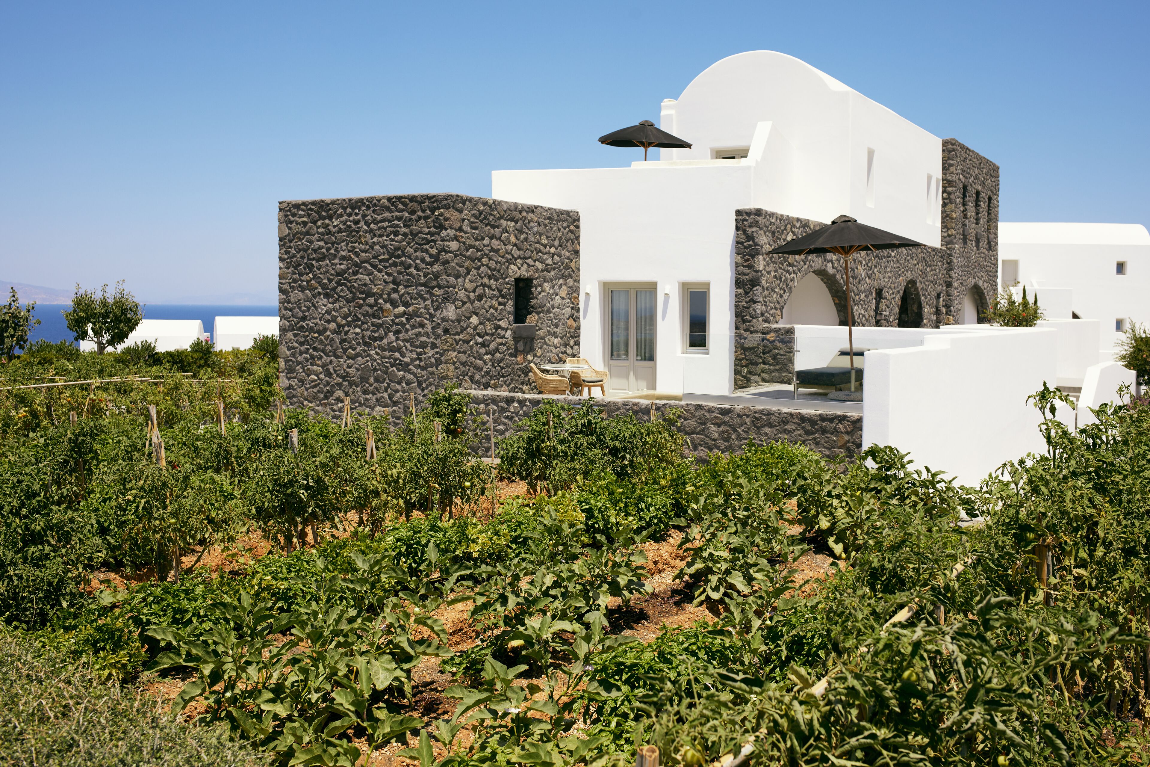 Foto - Santo Pure Oia Suites & Villas