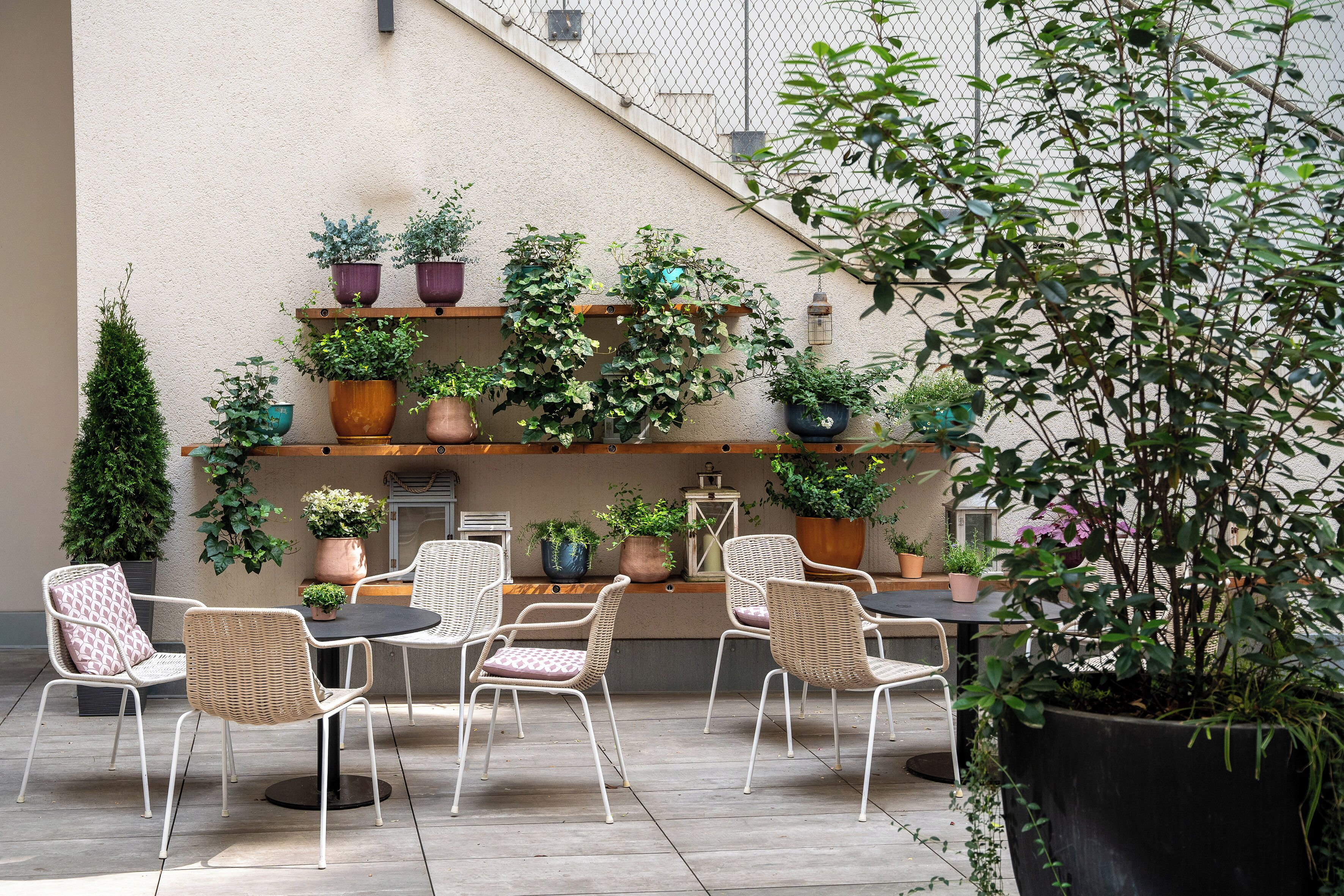 En udendørs terrasse med fletstole, et bord og forskellige potteplanter.