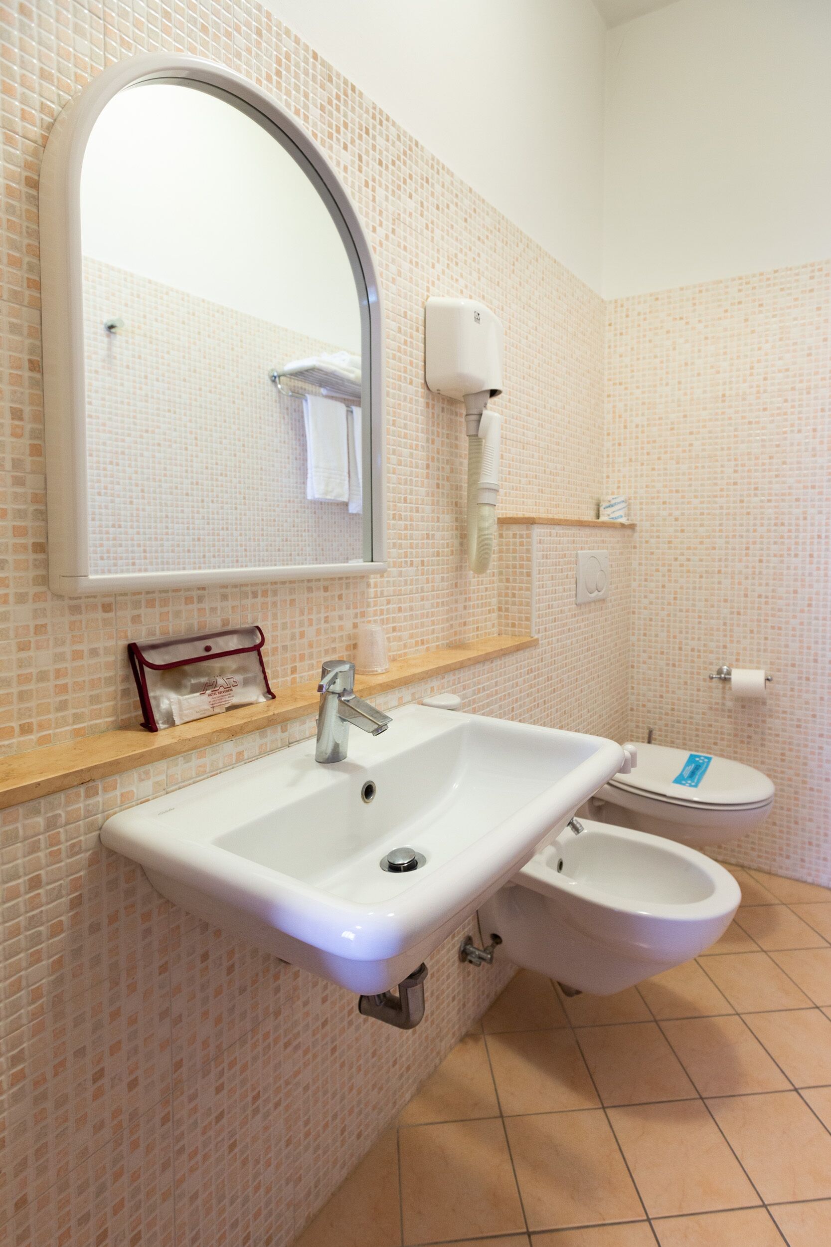 shower, free toiletries, hair dryer, bidet