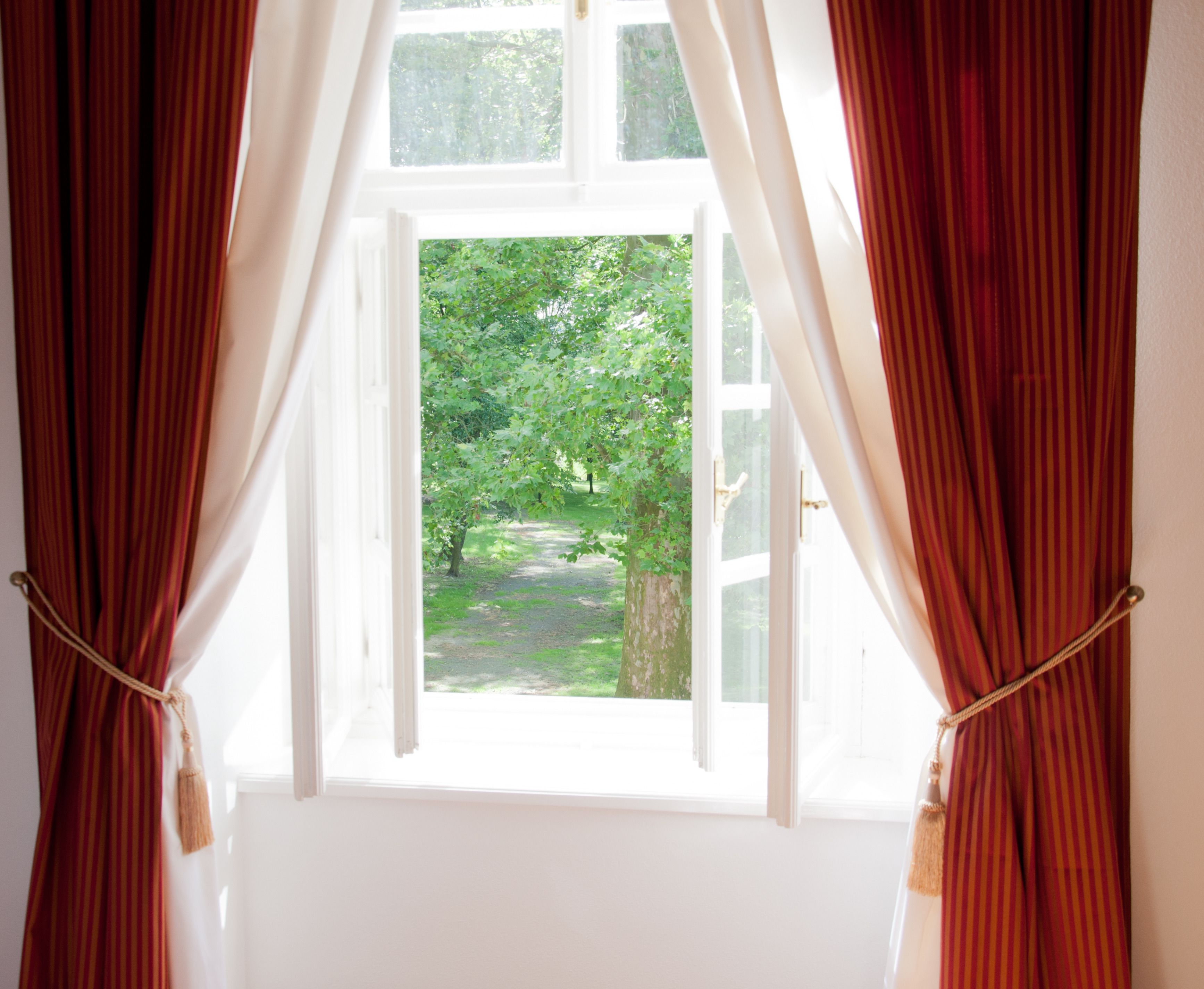 Una ventana con cortinas rojas y vistas a un jardín verde.