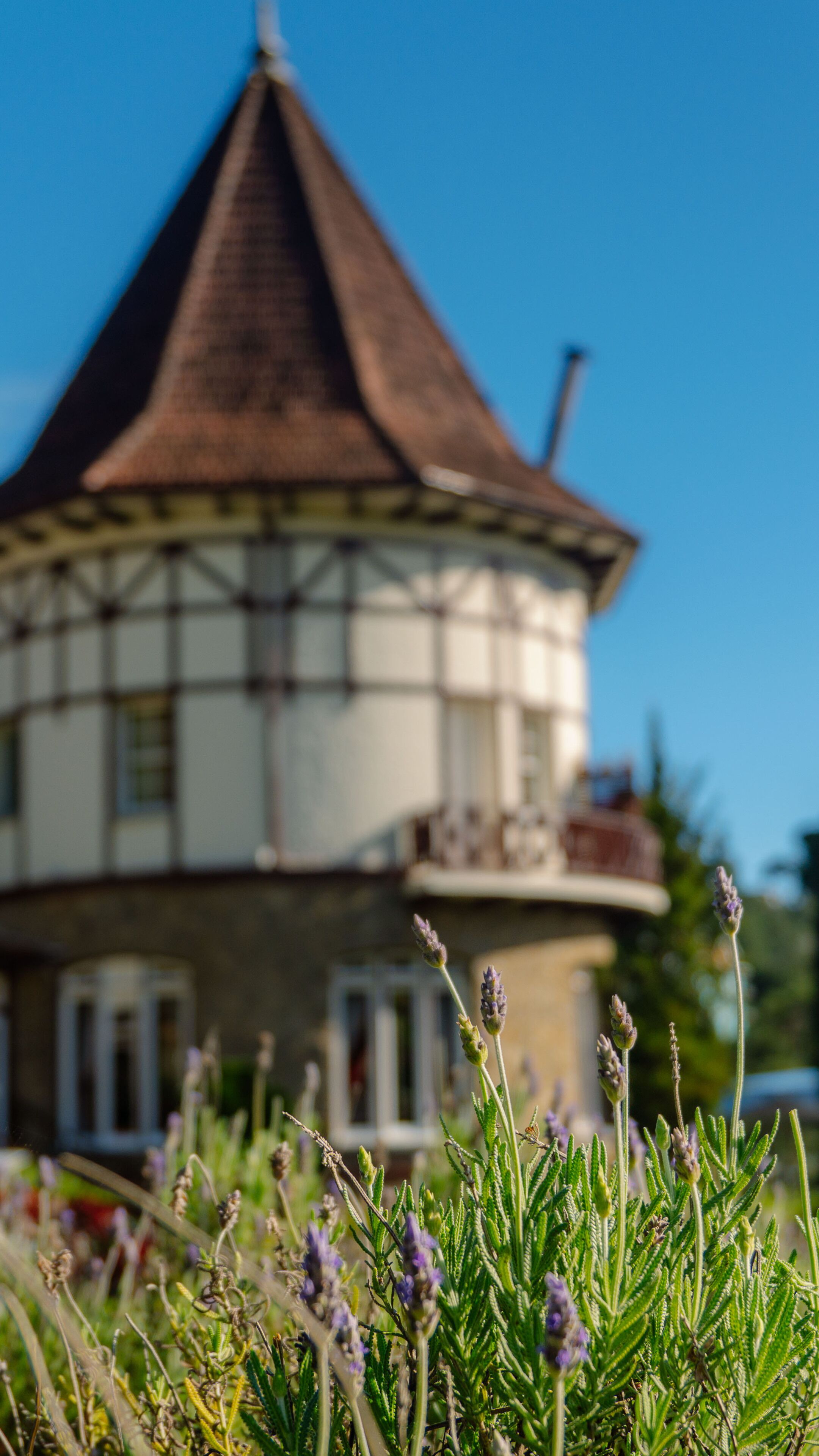 Photo - Hotel Vila Inglesa