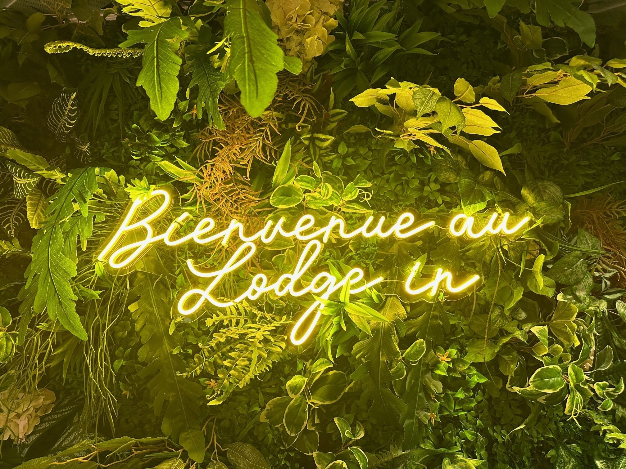 Foto - Hôtel Lodge In Paris 13