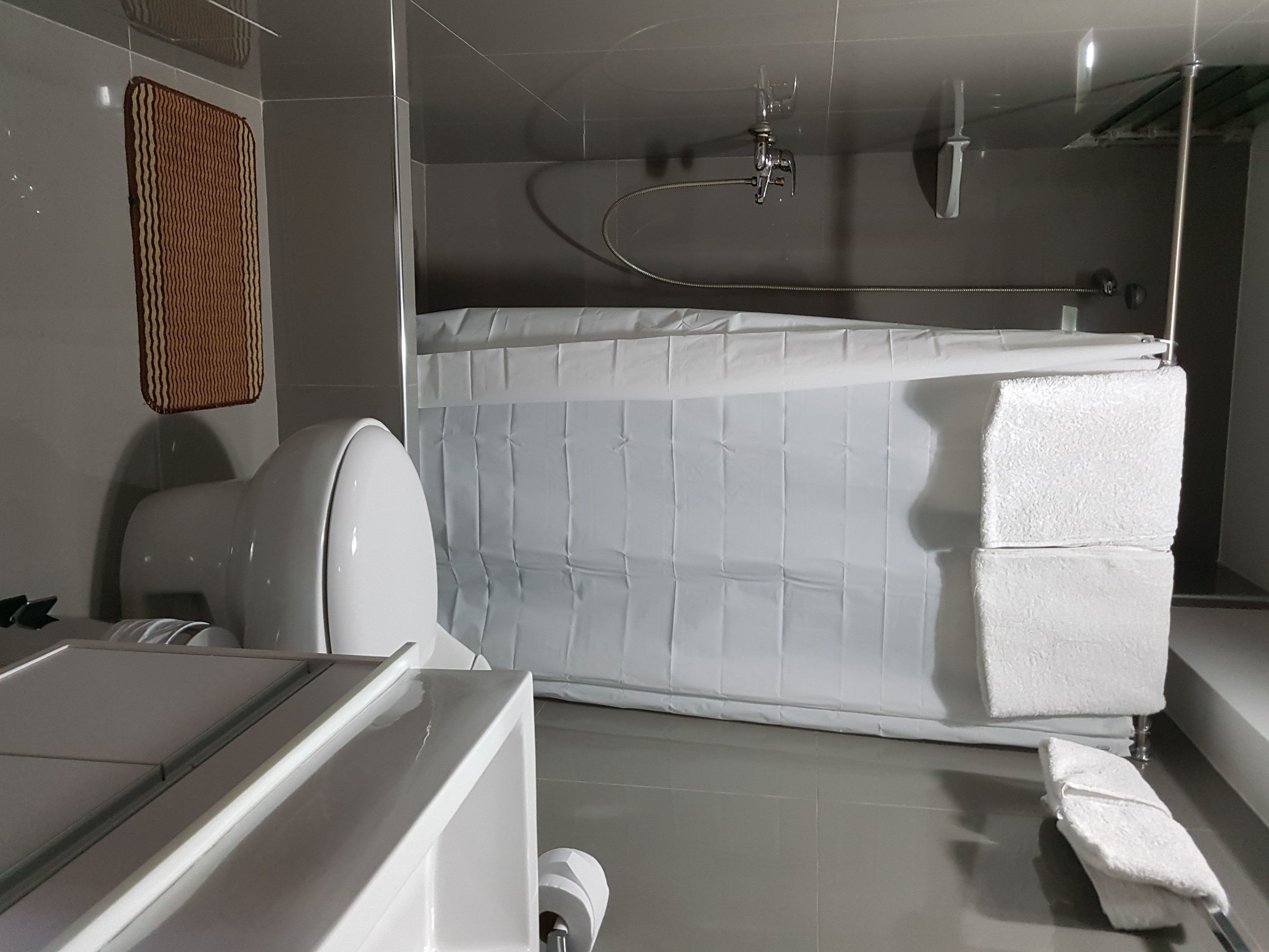 basic room | bathroom | shower, free toiletries, hair dryer, towels