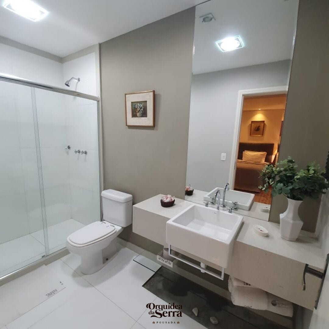A modern bathroom with a glass shower enclosure, a toilet, a sink, and a mirror.