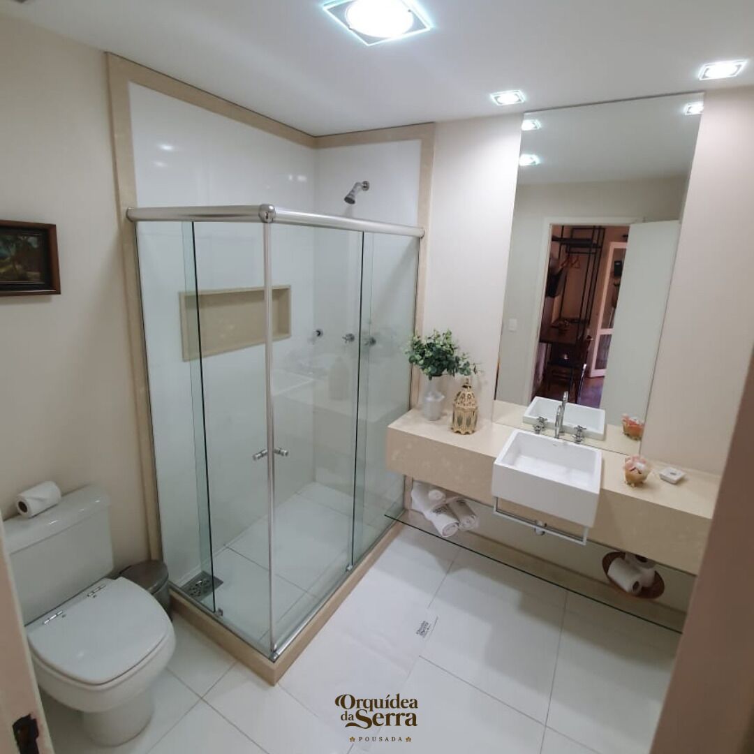 A modern bathroom with a glass-enclosed shower, a toilet, and a vanity with a mirror.