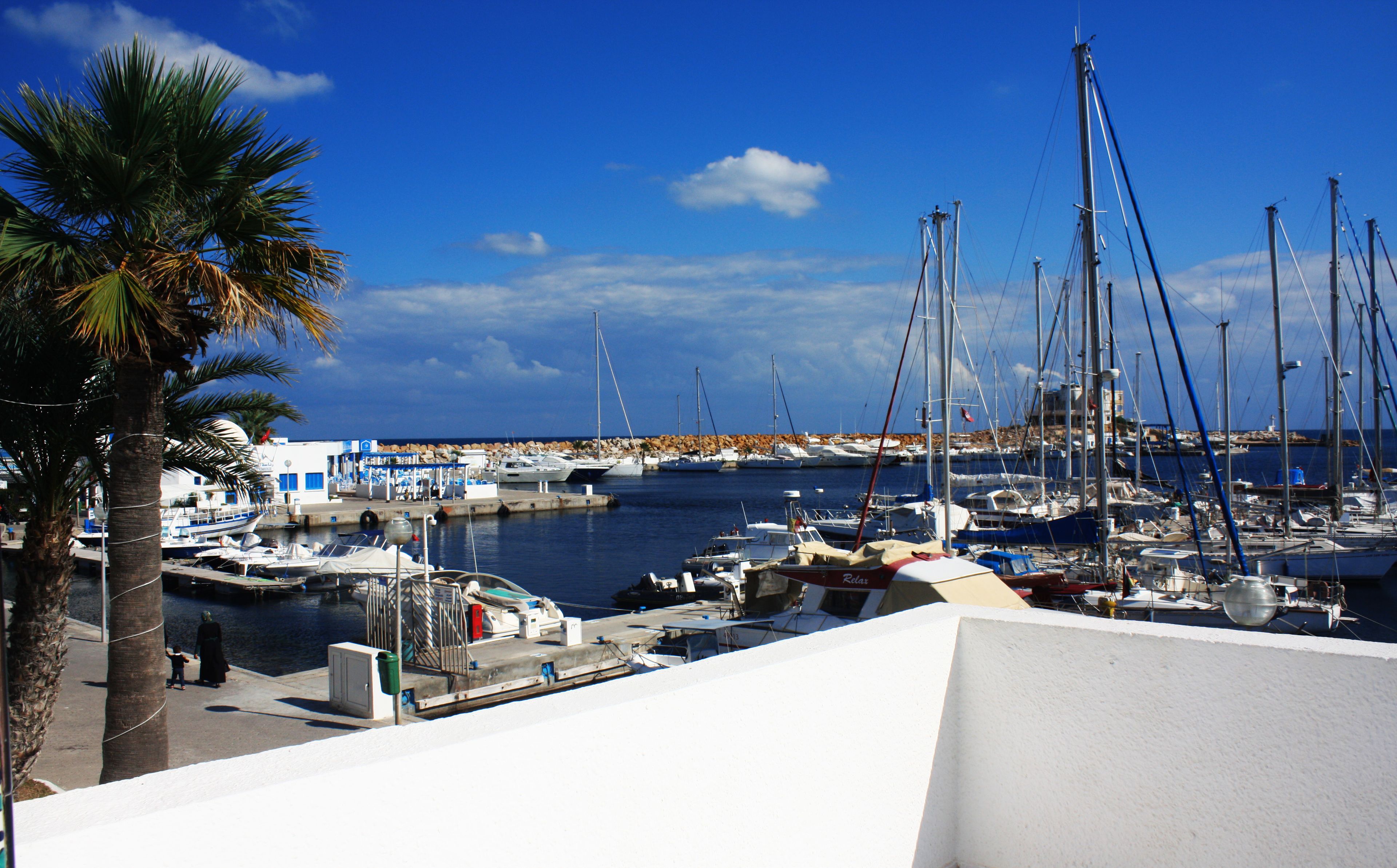 A marina with boats docked, a building with a blue and white facade, and a palm tree.