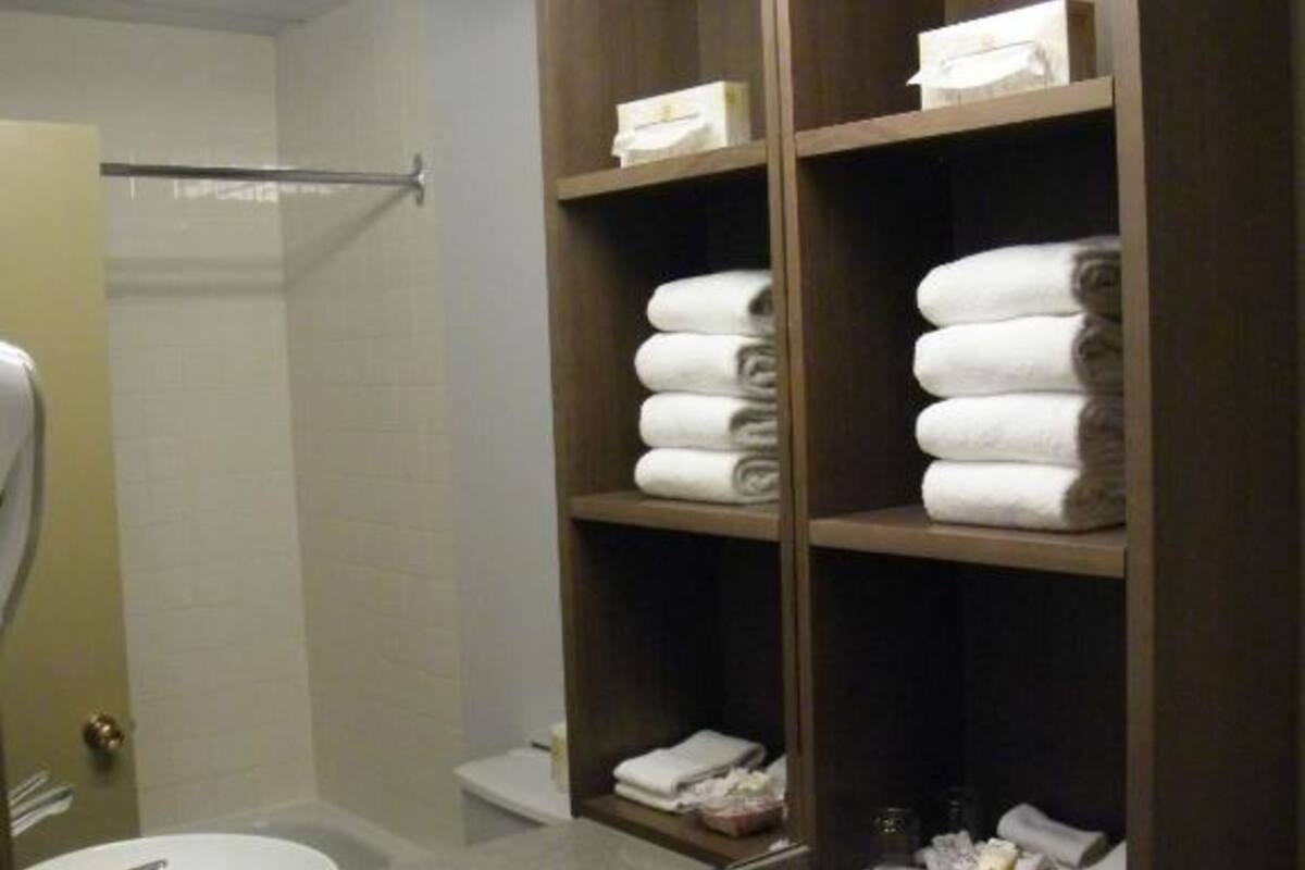 combined shower/bathtub, free toiletries, hair dryer, towels