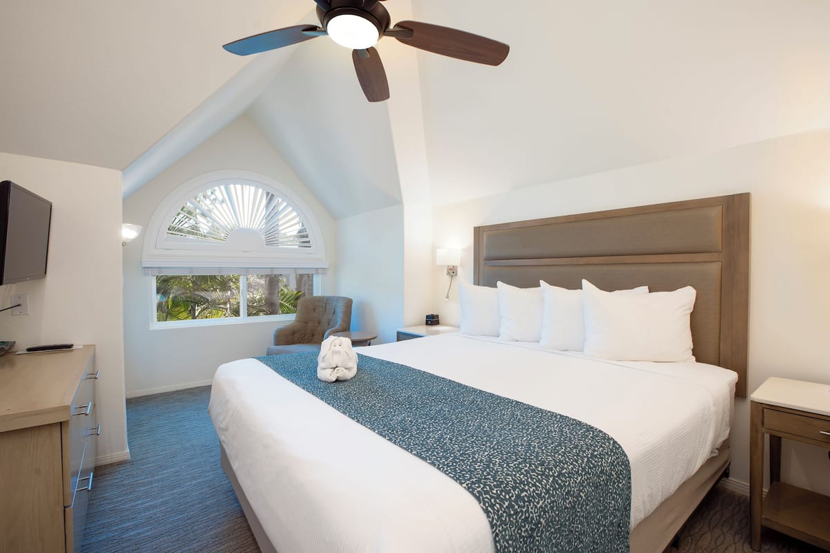 Habitación de hotel con una cama grande, ventilador de techo, televisión, escritorio y ventana con vistas a árboles.
