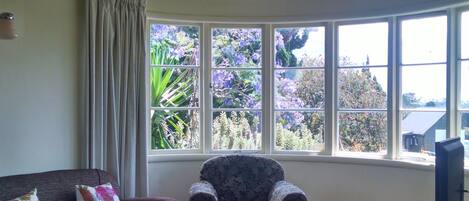 Una sala de estar con sofá, sillón y televisor. Hay ventanas amplias con cortinas, un ventilador de techo y piso de madera.