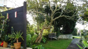 A garden with a black fence, a tree, a bench, and various potted plants. - Kiwi Heritage Homestay (Auckland)