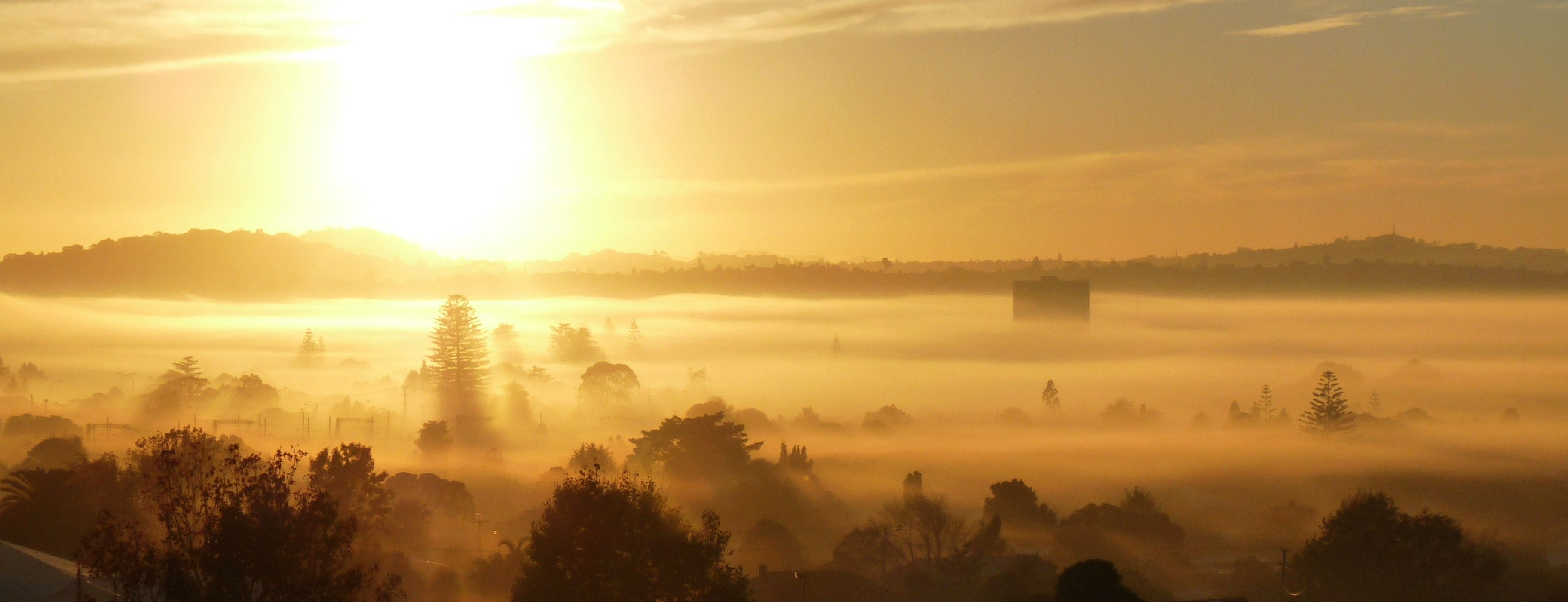 Foto - Kiwi Heritage Homestay