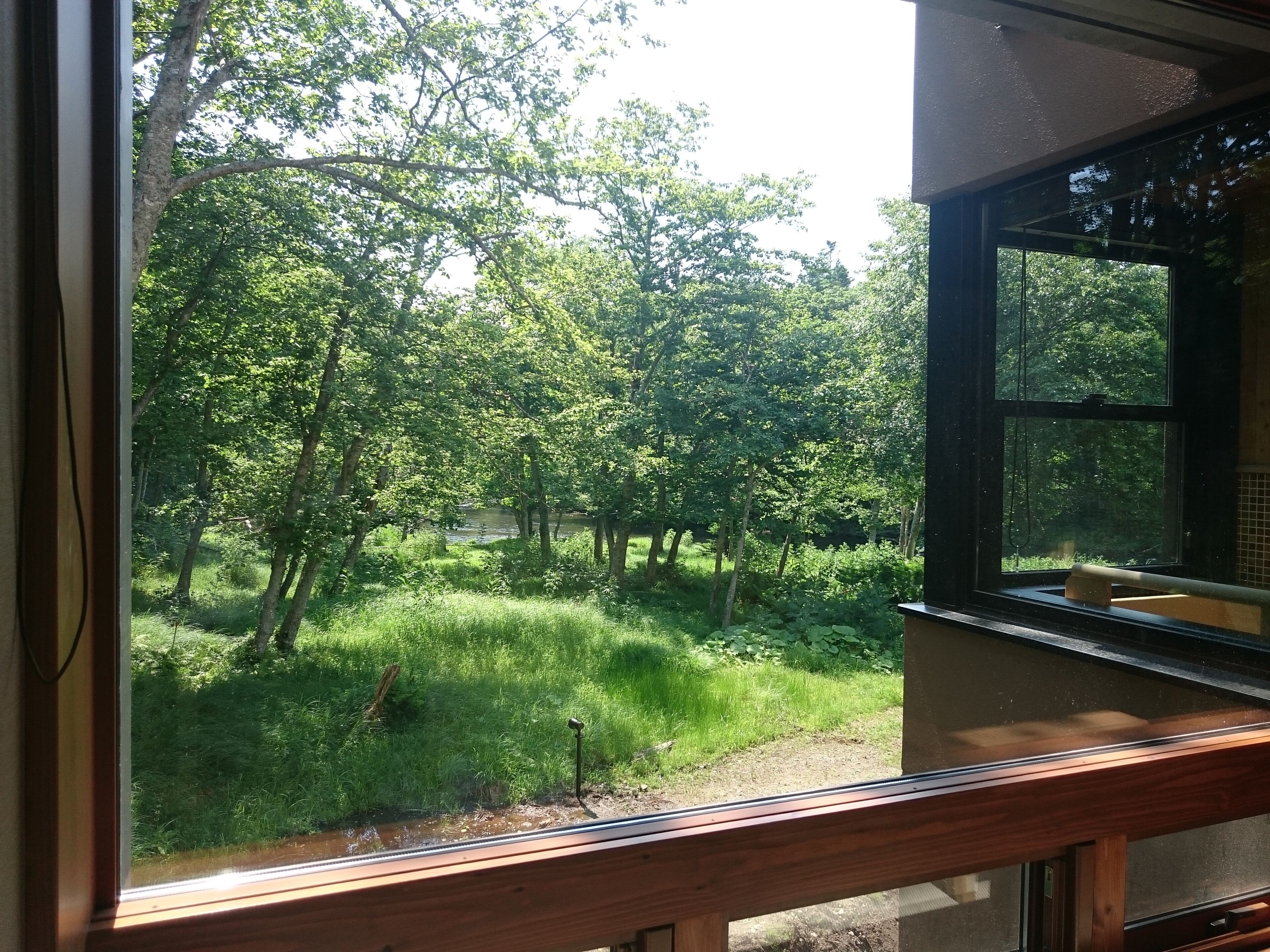 A view from a window overlooking a lush green landscape with trees and a small body of water.