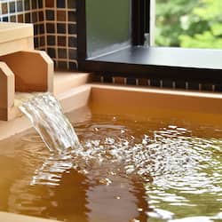 Combined shower/tub, spring water tub, free toiletries, hair dryer