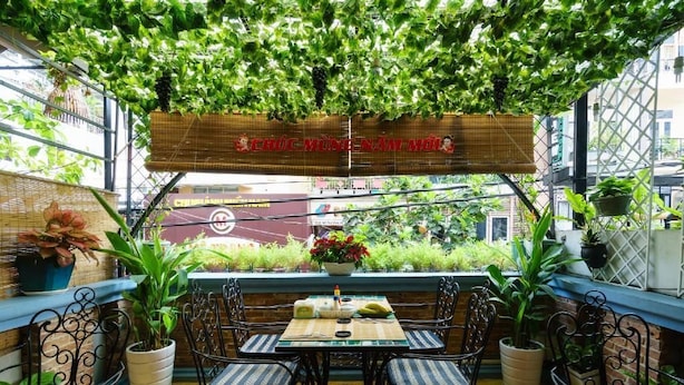 Un espace extérieur aménagé avec une table et des chaises, entouré de plantes en pot et surplombé d’une tonnelle végétalisée.
