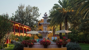 A fountain surrounded by potted plants and outdoor seating.