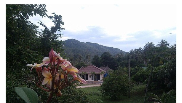 A house with a red roof, surrounded by lush greenery and a mountain in the background. - The Best Hostel (Koh Tao)