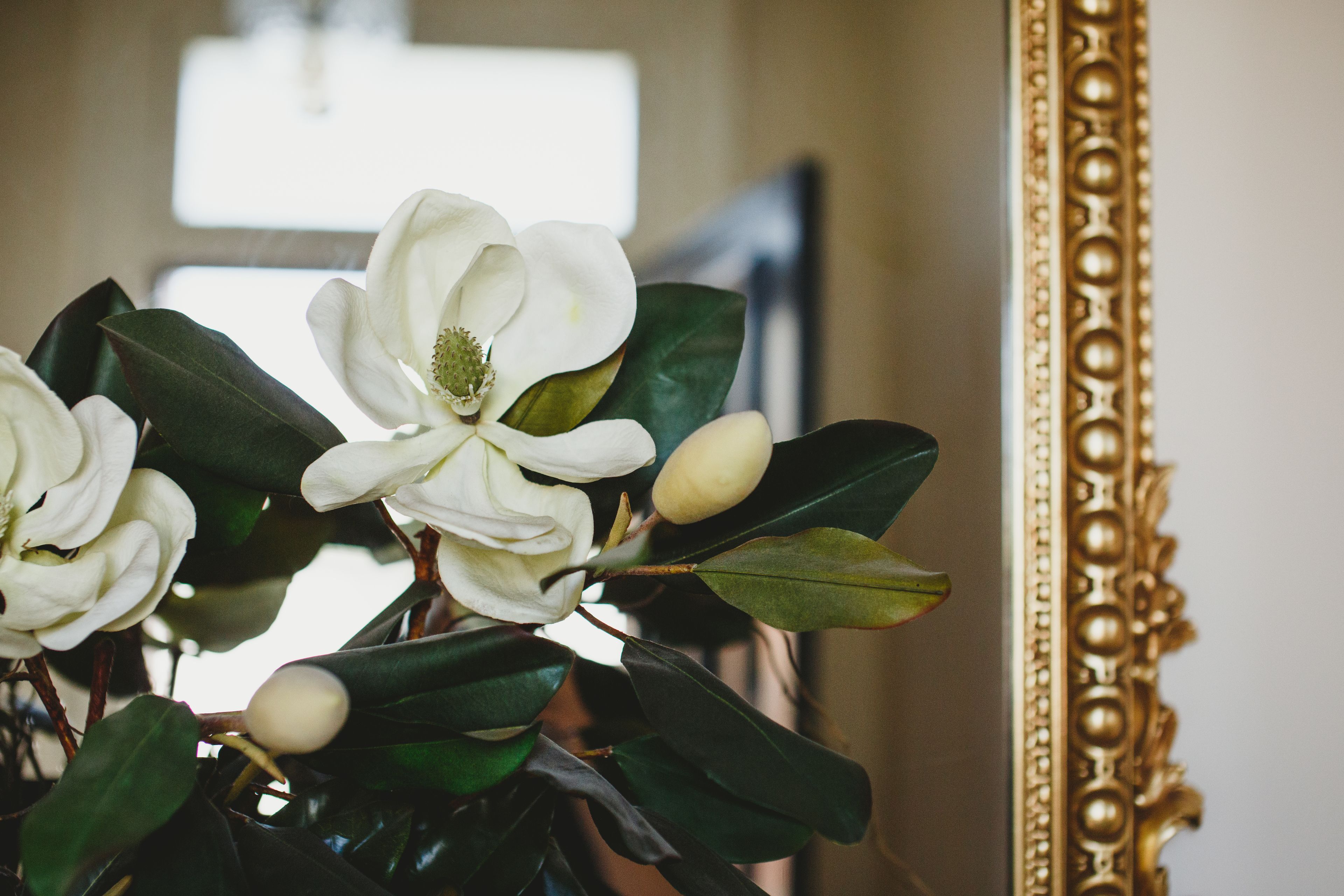 The Grand Old Duke — image 23