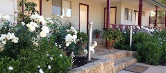 The Nosh & Nod - Avon Terrace