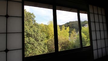 Superior Double Room with hot spring (2nd Floor) | View from room