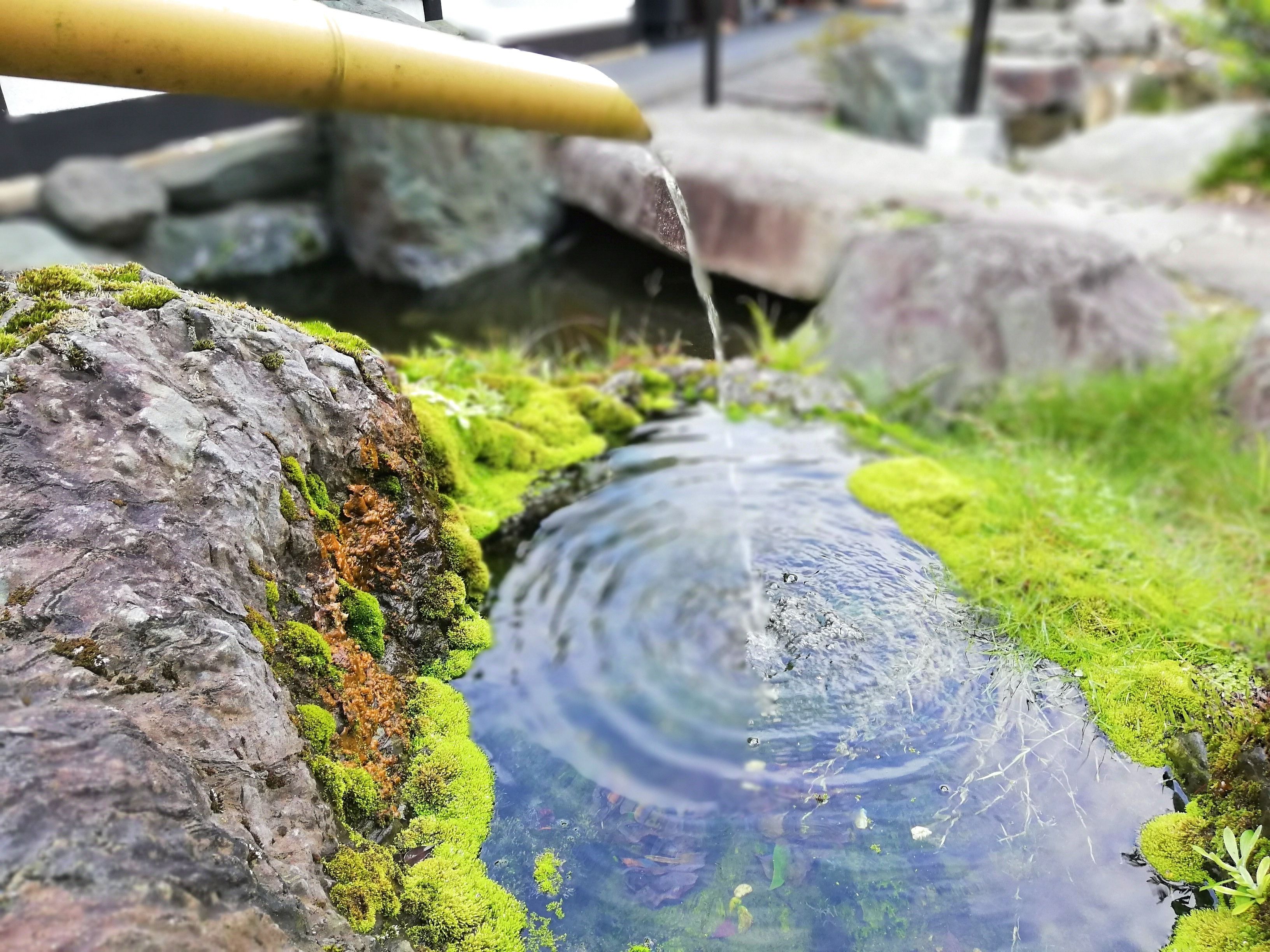 A water feature with a stream flowing over rocks and moss.