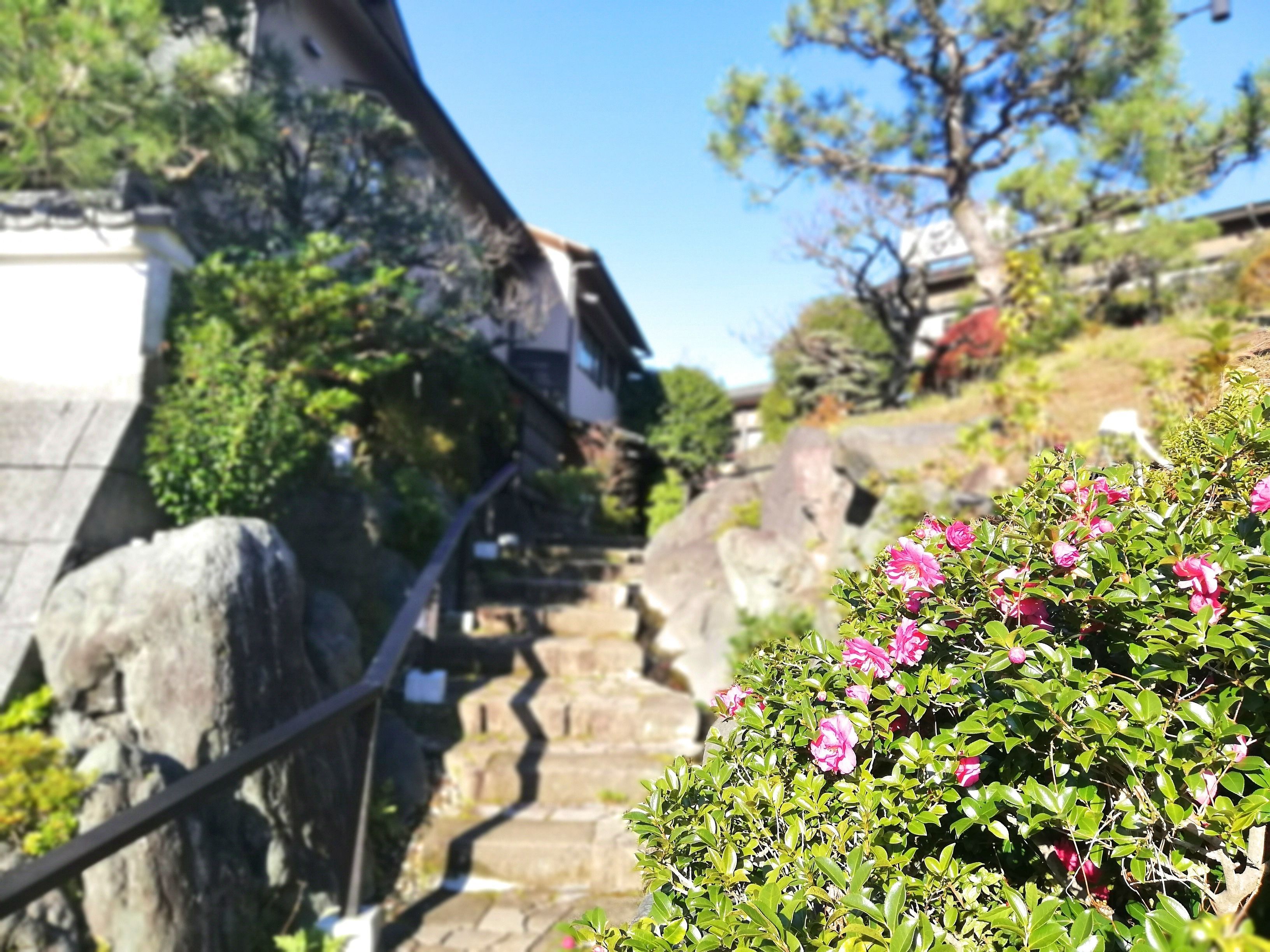 A stone staircase leading up a hill, surrounded by greenery and traditional buildings.