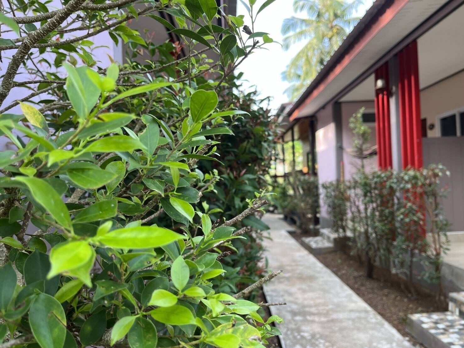 Un sendero bordeado de vegetación y un edificio con pilares rojos.