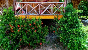 Uma casa de madeira com varanda, rede e cerca de madeira.