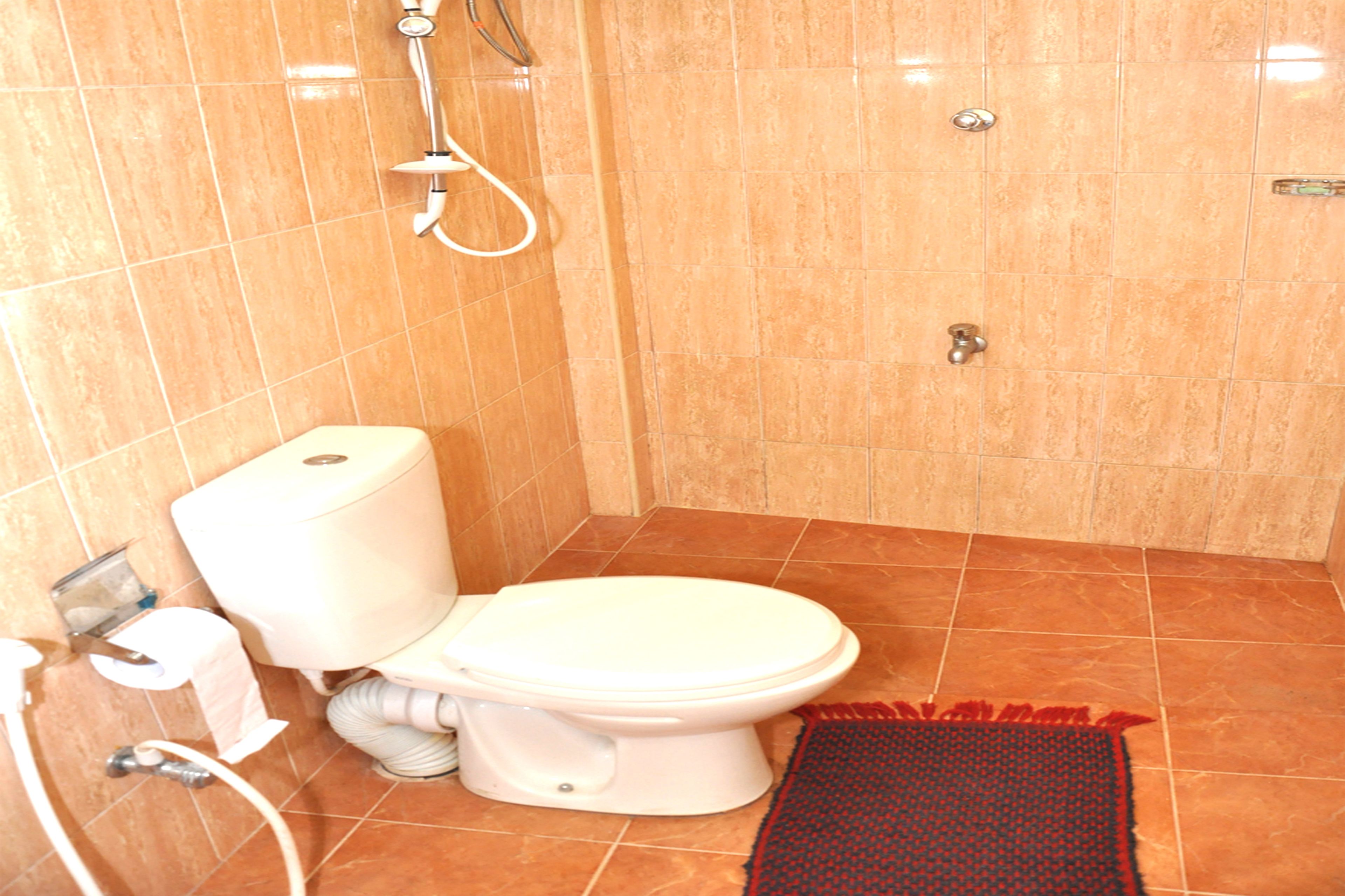 A bathroom with a toilet, a shower, and a red rug.