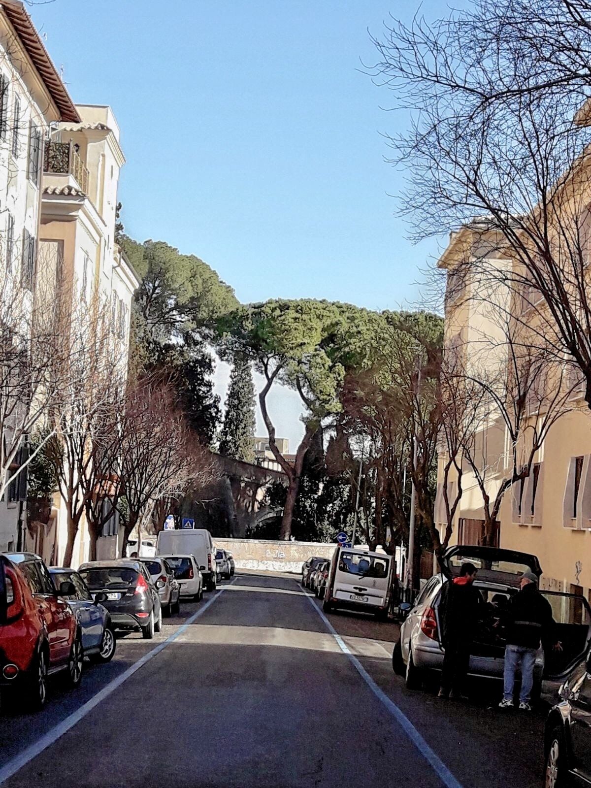 A street lined with parked cars and buildings on both sides, leading to a hill with trees.