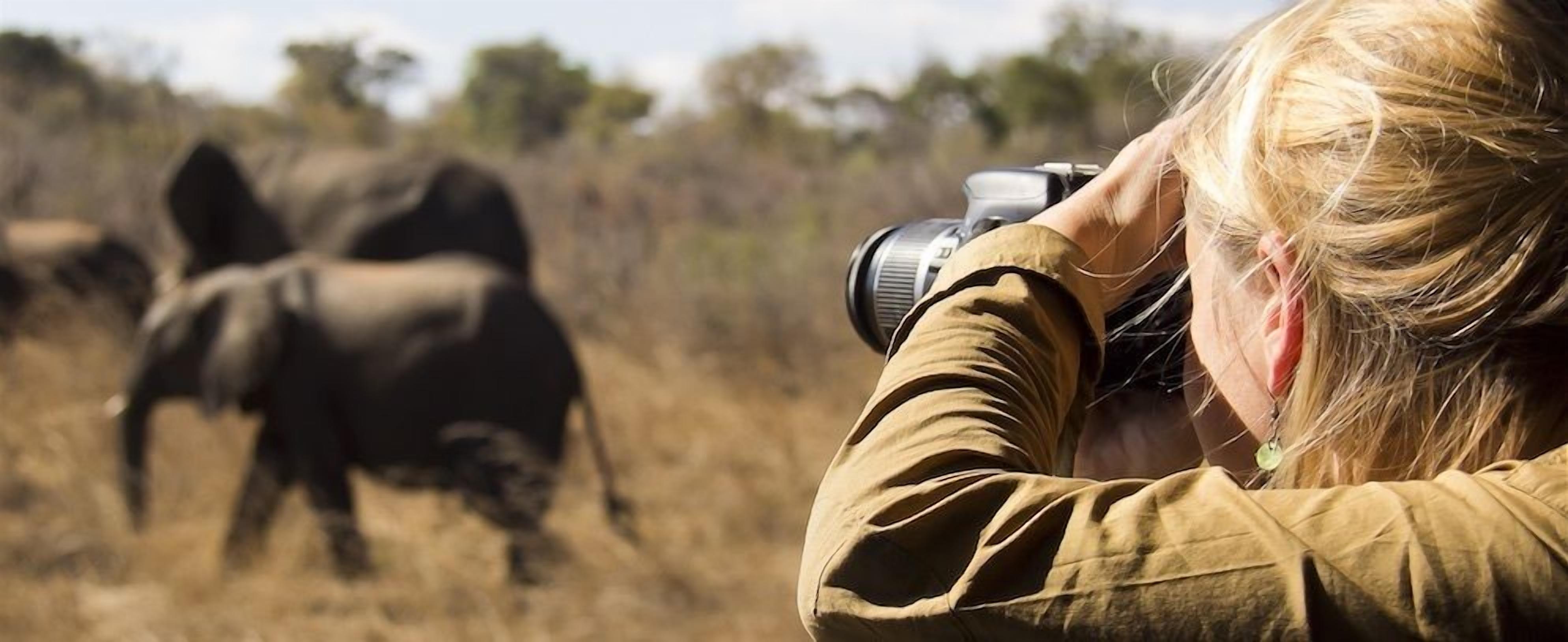 A person taking a photograph of an elephant in a natural setting.