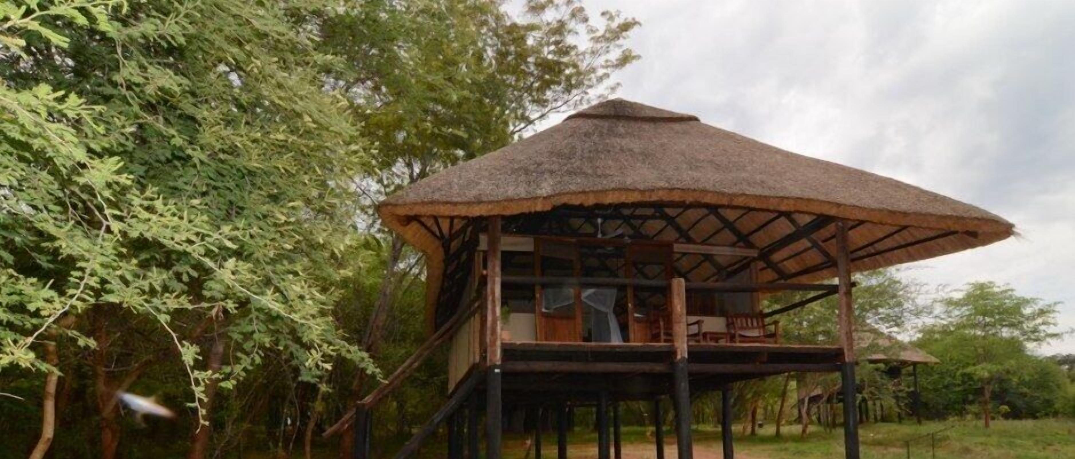 A thatched-roof structure with a wooden deck, surrounded by trees.