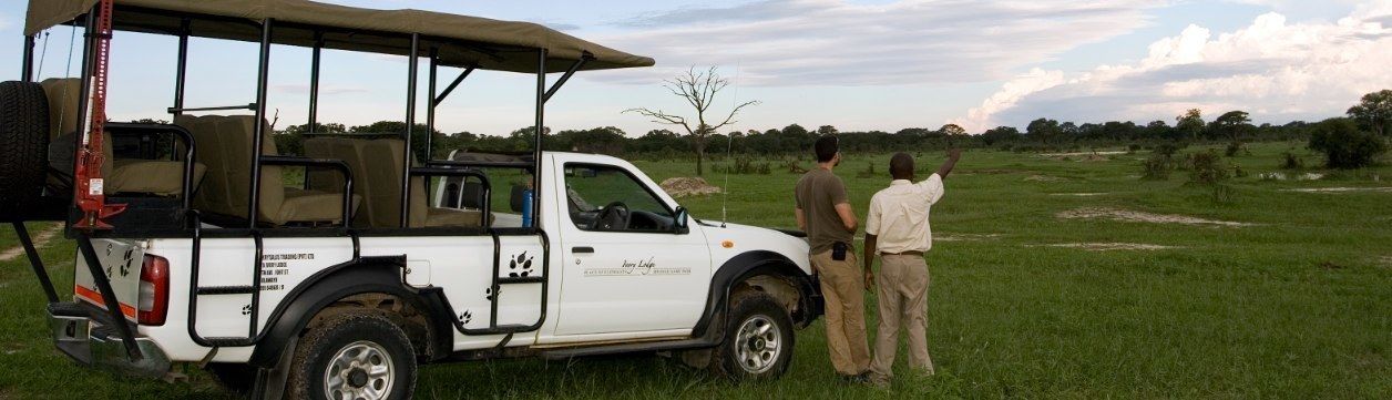 Safari