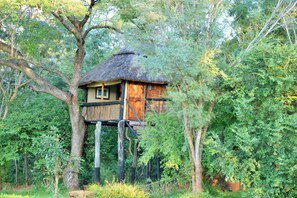 A treehouse with a thatched roof, wooden walls, and a platform supported by wooden pillars.