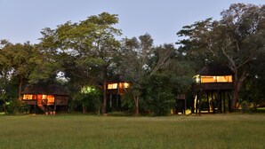 Three treehouse accommodations with thatched roofs, surrounded by a grassy field and dense trees. - Ivory Lodge (Dete)