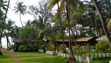 Deluxe-Bungalow, 1 King-Bett, Gartenblick, zum Garten hin | Zimmersafe, individuell dekoriert, individuell eingerichtet