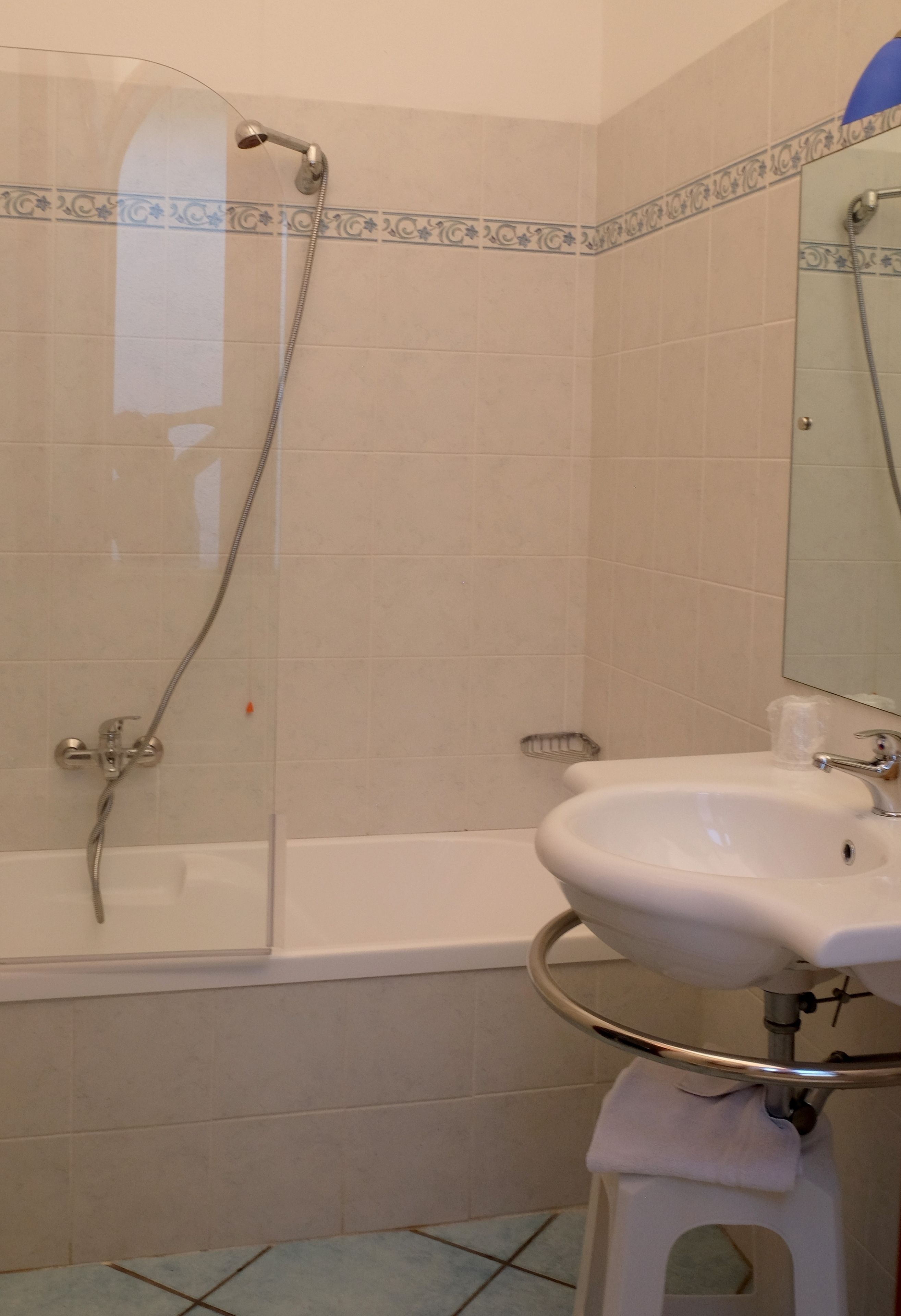combined shower/bathtub, free toiletries, bidet, towels