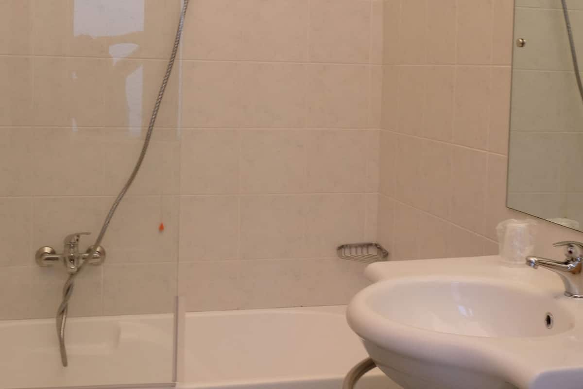 combined shower/bathtub, free toiletries, bidet, towels