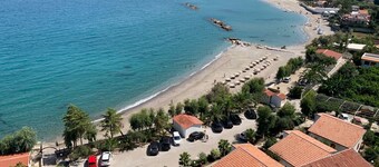 테스타 디 모나코 내추럴 비치