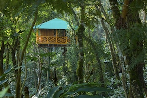 Casa a l'arbre | Vista des de l'habitació