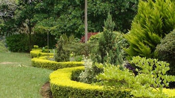 Puutarha