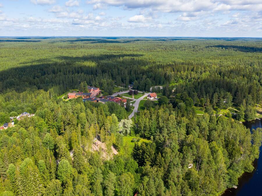An aerial view of a forested area with several buildings, including a red-roofed structure and a house with a white fence.
